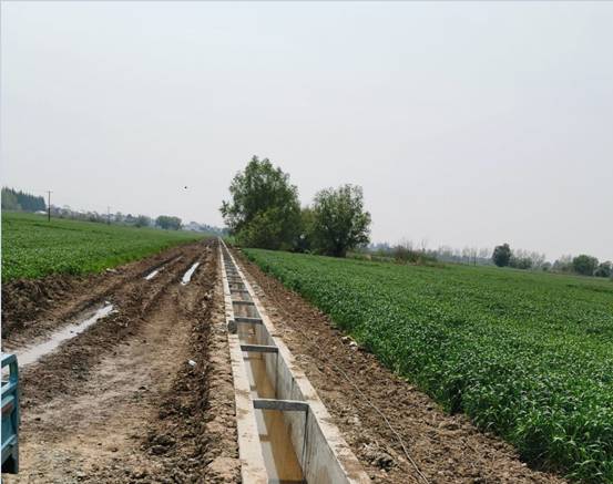 ~x^患Ҧ塢ϴ塢x壩2019ߘ˜rｨOĿ